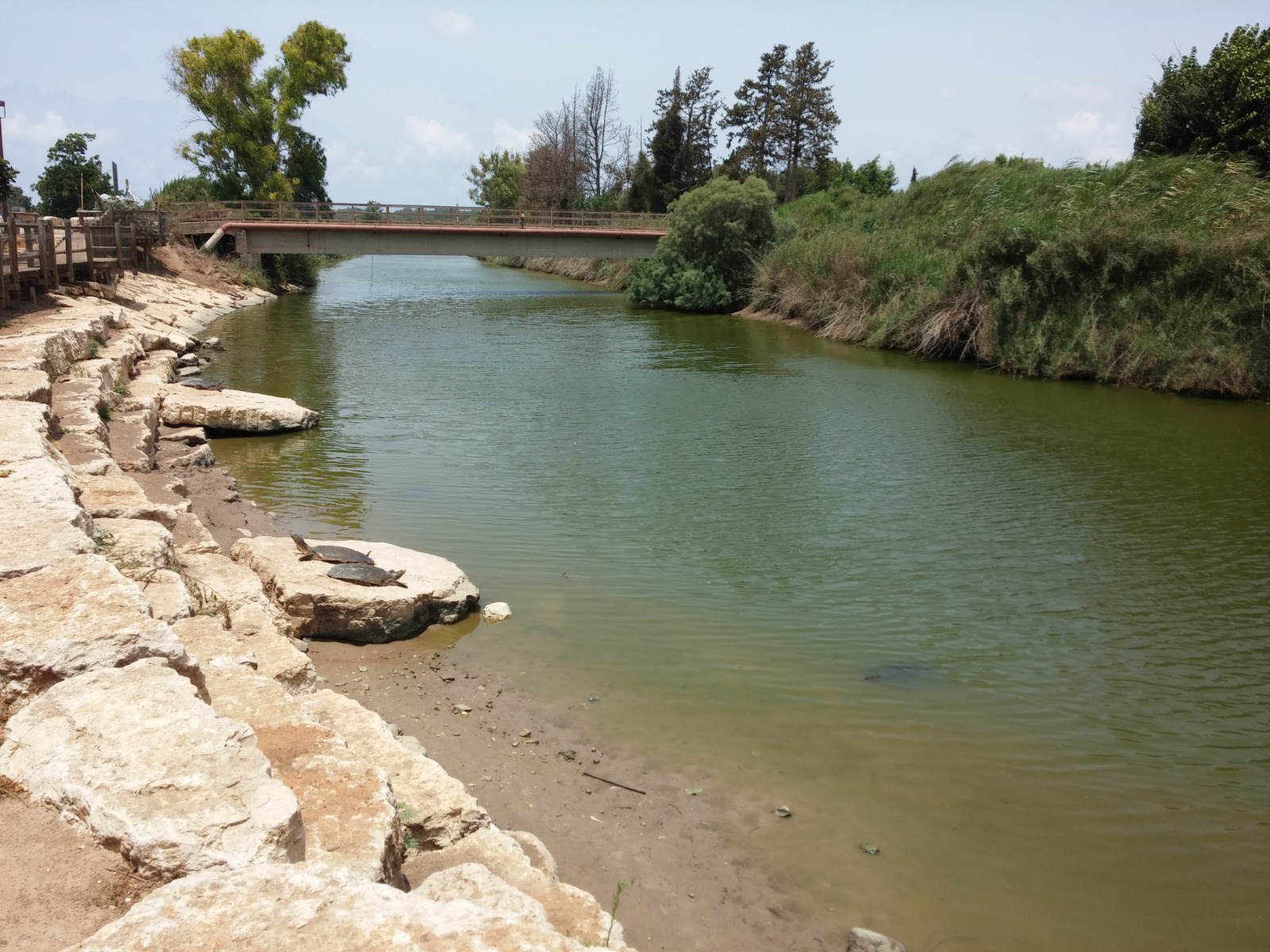 WhatsApp Image 2026-03-08 at 10.55.19 (1)