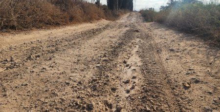 WhatsApp Image 2025-10-29 at 08.46.12 (1)