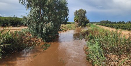 WhatsApp Image 2025-11-16 at 11.52.31