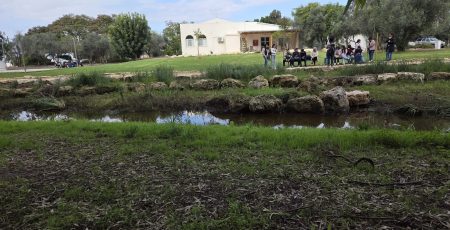 WhatsApp Image 2025-12-22 at 09.39.18