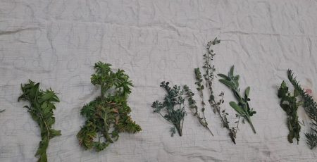 WhatsApp Image 2026-01-01 at 10.47.27