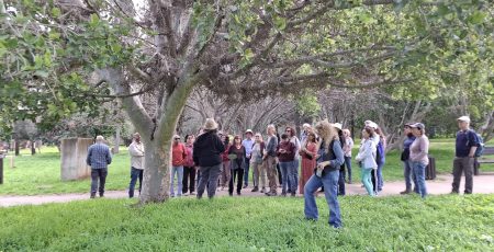 WhatsApp Image 2026-02-15 at 07.40.12 (3)