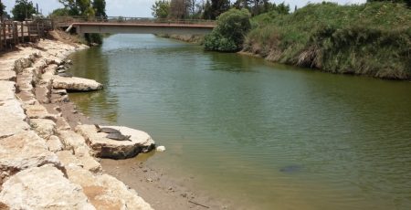 WhatsApp Image 2026-03-08 at 10.55.19 (1)