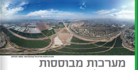 אלי