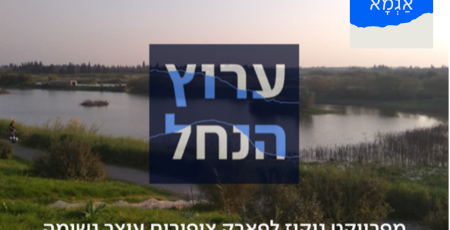 עיצוב ללא שם (1)